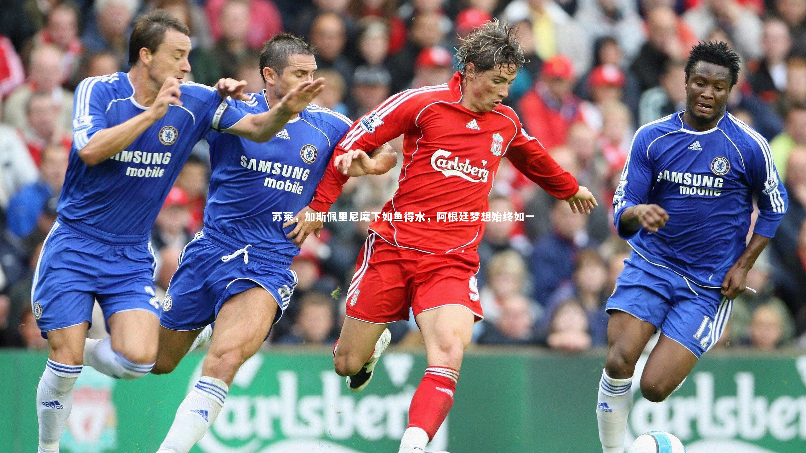 九游体育官网|苏莱，加斯佩里尼麾下如鱼得水，阿根廷梦想始终如一